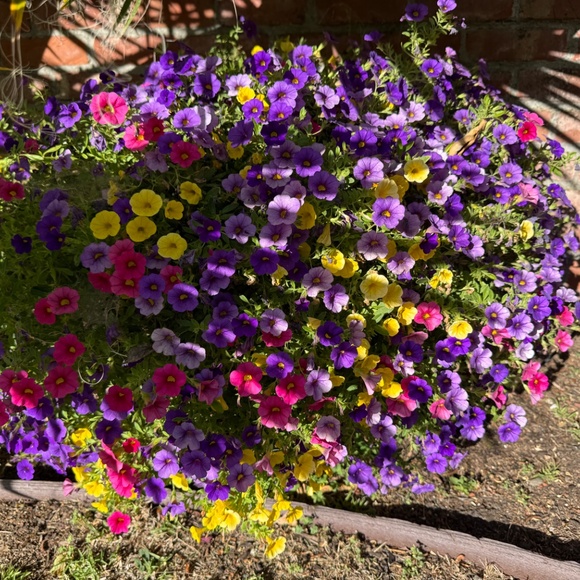 Meet your Posher, T - Picture 4 of 10